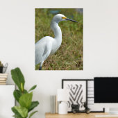 Poster d'Elegant Egret bird blanc (Bureau à domicile)