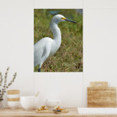 Poster d'Elegant Egret bird blanc (Cuisine)