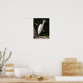 Poster d'Elegant Egret bird blanc (Cuisine)