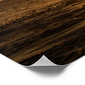 Poster Delfin 3 (Coin)