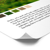 Poster Delhi - Inde (Coin)