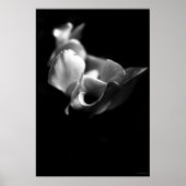 Poster délicat (Devant)