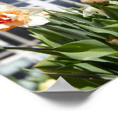 Poster Délicat mignon daffodils printemps (Coin)