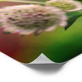 Poster Delicate Flowers (Coin)