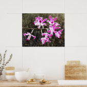 Poster Delicate Orchid Blossoms Wall Art 28x22 (Cuisine)