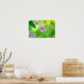 Poster Delicate Purple Bougainvillea (Cuisine)
