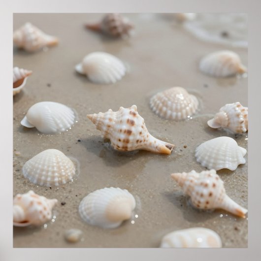 Poster Delicate Seashells Beach Serenity (Devant)