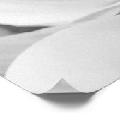 Poster Delicate Vellum Transparency Black White Initials (Coin)