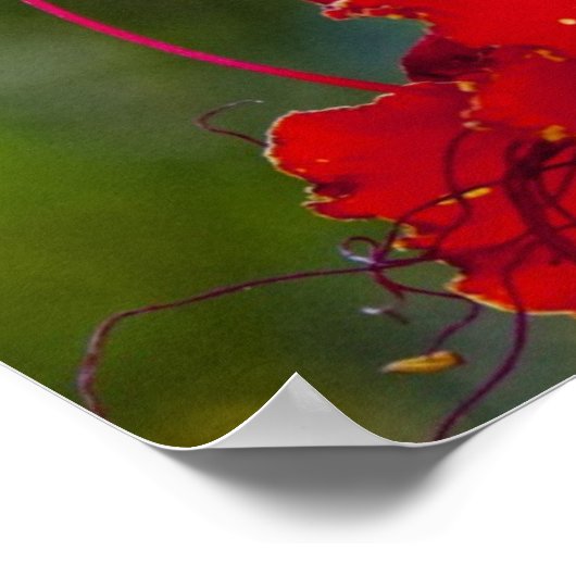 Poster Délicieux (Coin)