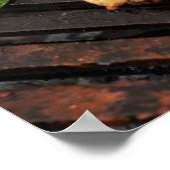 Poster Deliciuos bbq (Coin)