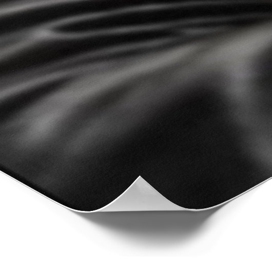 Poster d'Elon Musk (Coin)