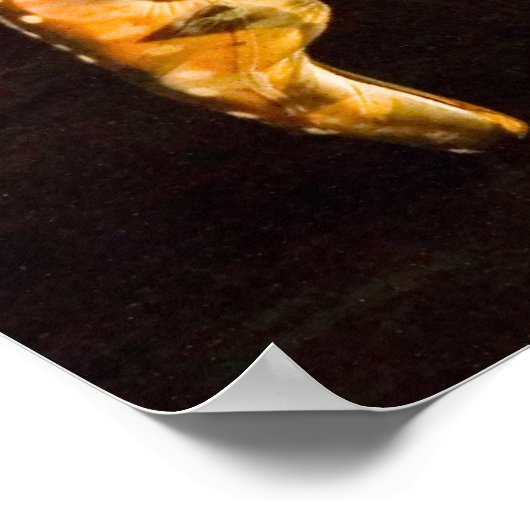 Poster Delphine-4653 (Coin)