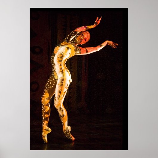 Poster Delphine-4653 (Devant)