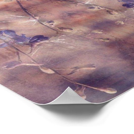 Poster Delphinium (Coin)