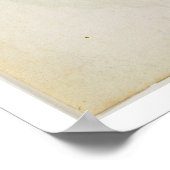 Poster Delphinium ajacis, c.1568 (Coin)