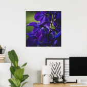 Poster Delphinium violet profond gros (Bureau à domicile)
