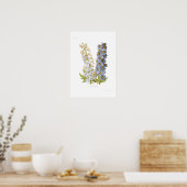 Poster Delphiniums (Cuisine)