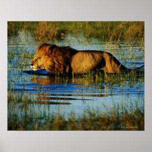 Poster Delta de l'Okavango, Botswana 3