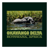 Poster Delta d'Okavango (Devant)
