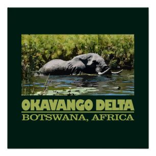 Poster Delta d'Okavango