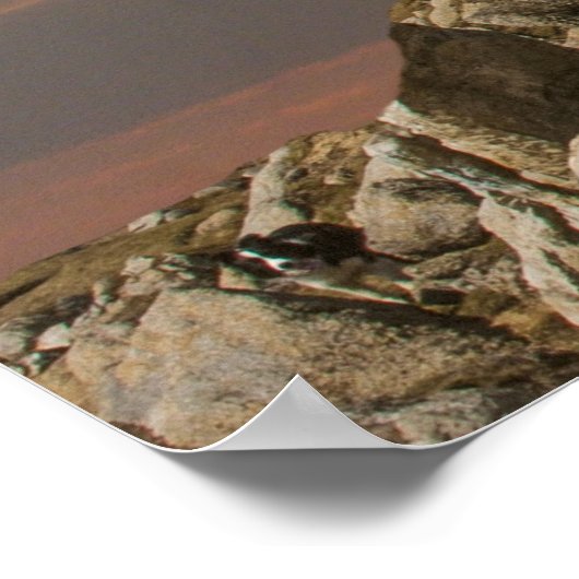 Poster demander l'affiche de l'ange (Coin)