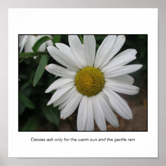 Poster Demandes simples