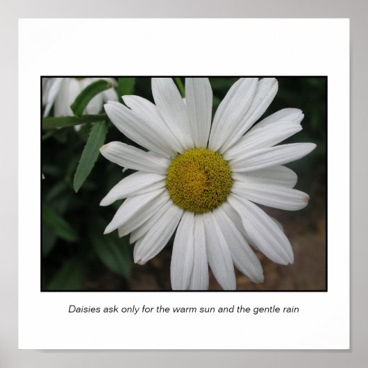 Poster Demandes simples (Devant)