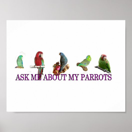 Poster Demandez-Moi À Propos De Mes Perroquets (Devant)