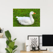 Poster d'Emden Goose (Bureau à domicile)