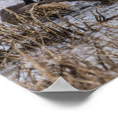 Poster Déménagement (Coin)