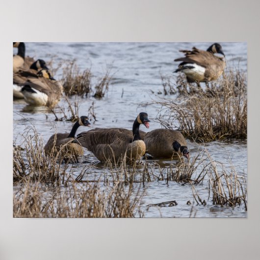 Poster Déménagement (Devant)