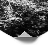 Poster demeure (Coin)