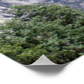 Poster Demi-dôme (Coin)