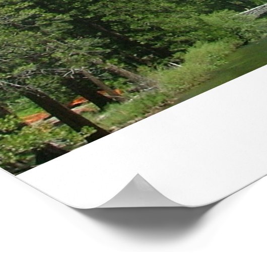 Poster Demi-dôme (Coin)