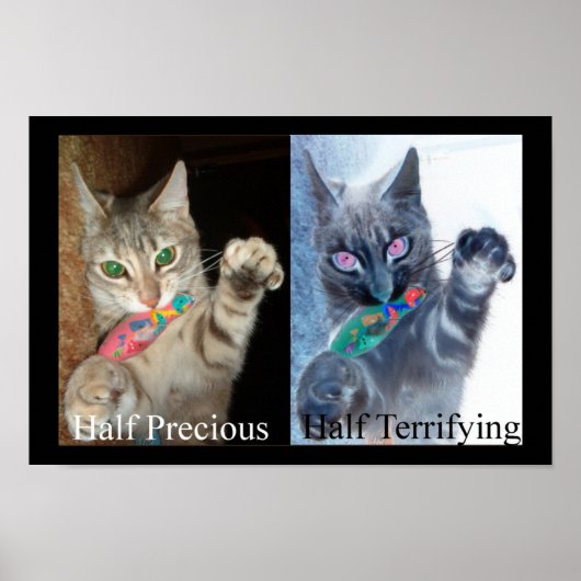 Poster Demi et demi (Devant)