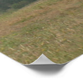 Poster Demi-Moon Bay House sur une colline (Coin)