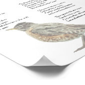 Poster d'Emily Dickinson "In the Garden" (Coin)