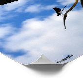 Poster Demoiselle dans le ciel bleu (Coin)