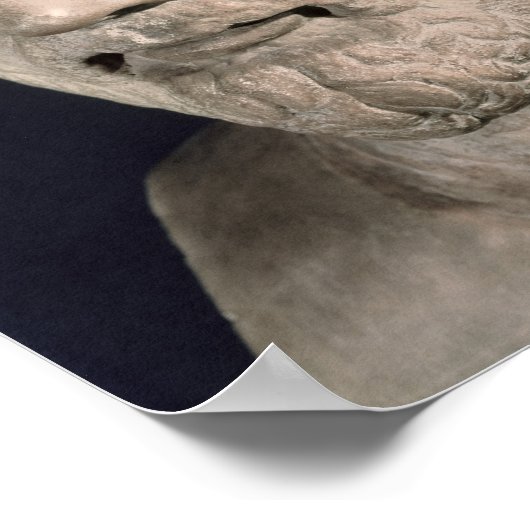 Poster Démosthène (Coin)