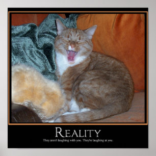 Poster Démotivateur de chat