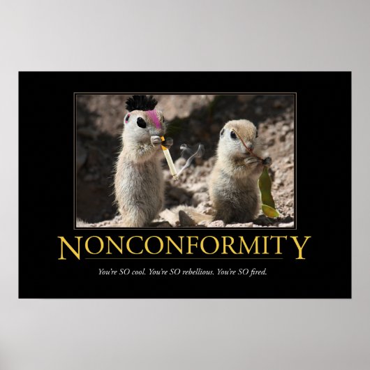 Poster démotivationnel : Non-conformité (Devant)