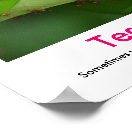 poster démotivationnel TEAMWORK (Coin)