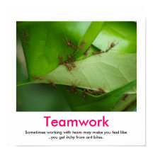 poster démotivationnel TEAMWORK