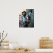 Poster d'Emu (Cuisine)