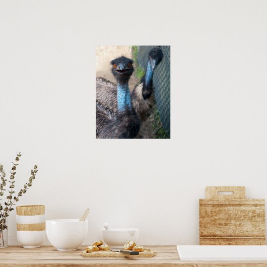 Poster d'Emu (Cuisine)