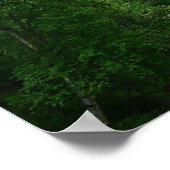 Poster Denali Express Alaska Train Vacation Photographie (Coin)