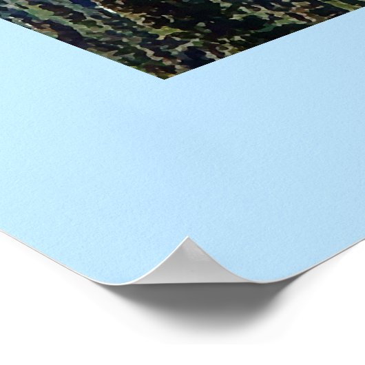 Poster Denali (Mt. McKinley) (Coin)