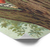 Poster Dendrocopus major par Johann Friedrich Naumann (Coin)