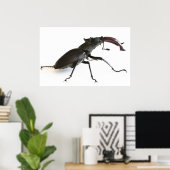 Poster Dendroctone du pin (Bureau à domicile)