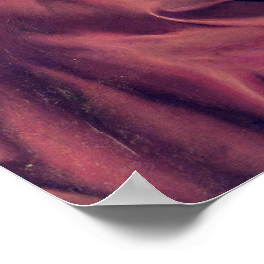 Poster Denis Diderot 1828-29 (Coin)